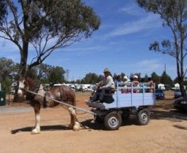 Ariah Park Camping Ground - Brisbane 4u 1
