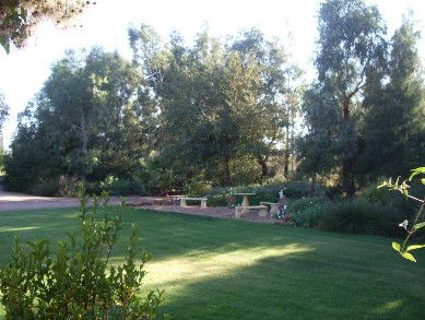 Wilga Park Cottage - Tourism Brisbane 4