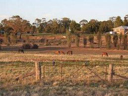 Junee Motor Inn - Tourism Brisbane 2
