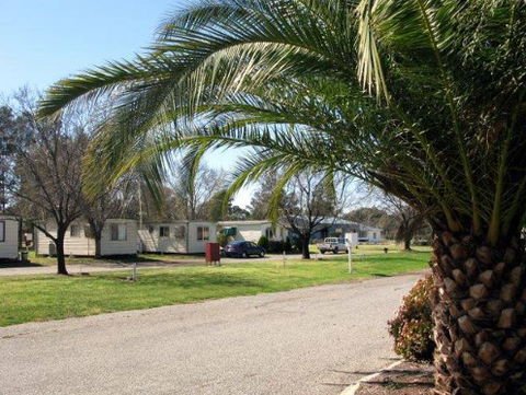 Leeton Caravan Park - Brisbane Tourism 1
