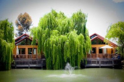 Perricoota Vines Retreat - Brisbane Tourism 0