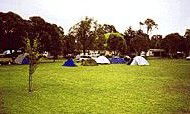 Armidale - Pembroke Tourist And Leisure Park - Brisbane 4u 1