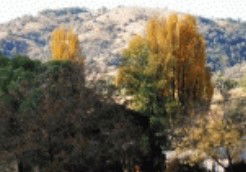 Birches Bed And Breakfast At Nundle - Tourism Brisbane 0