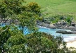 Aqua Bamboo - Brisbane 4u 0