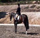 Apptrak Stud - Brisbane Tourism