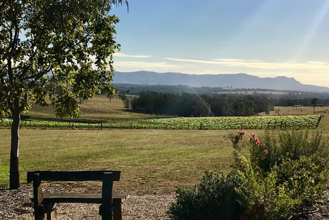 Blackwattle Luxury Retreats - Brisbane Tourism 3