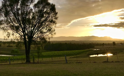 Blackwattle Luxury Retreats - Brisbane Tourism 4