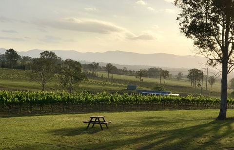 Blackwattle Luxury Retreats - Brisbane Tourism 5