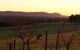 Blackwattle Luxury Retreats - thumb 10