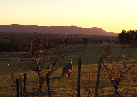 Blackwattle Luxury Retreats - Brisbane Tourism 10