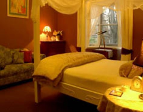 Broomelea - Tourism Brisbane 2
