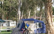 BIG4 Lake Macquarie - Monterey Tourist Park - Brisbane 4u 5