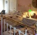 A Winter-Rose Cottage Bed and Breakfast - Tourism Brisbane