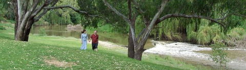 Apex Riverside Tourist Park - Tourism Brisbane 4