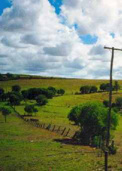 Mango Hill Cottages Bed And Breakfast - Brisbane Tourism 2