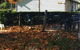 Girraween Country Inn - thumb 5
