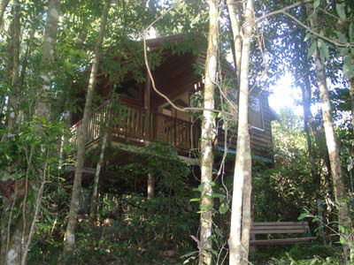 Adjinbilly Rainforest Retreat Cabins - Brisbane 4u 0
