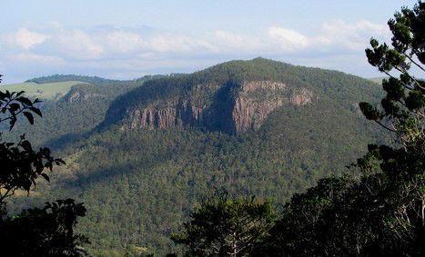 Arborlee Rainforest Retreat - Brisbane 4u 3