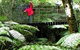 Katandra Mountain Farm House - thumb 2
