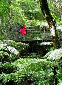 Katandra Mountain Farm House - Tourism Brisbane 2