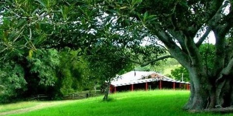 Katandra Mountain Farm House - Tourism Brisbane 5