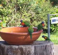 Lamb Island Bed and Breakfast - Tourism Brisbane