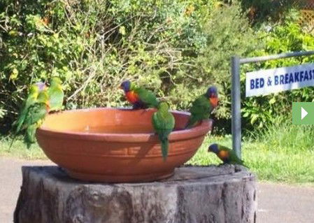 Lamb Island Bed And Breakfast - Tourism Brisbane 0