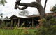 The Hollow Log Country Retreat - thumb 0
