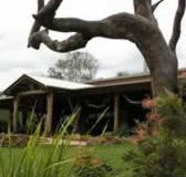 The Hollow Log Country Retreat - Brisbane Tourism