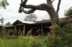 The Hollow Log Country Retreat - Brisbane Tourism 0