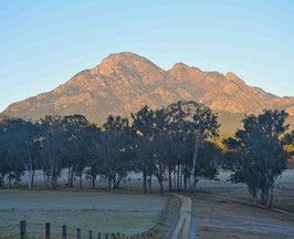 Barney Creek Vineyard Cottages - Tourism Brisbane 5
