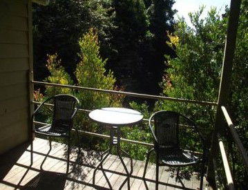 Fern Cottage - Holiday Home - Tourism Brisbane 4