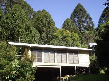 Fern Cottage - Holiday Home - Tourism Brisbane 5