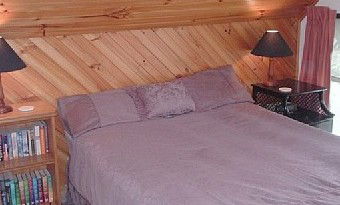 Satinwood - Holiday Home - Tourism Brisbane 2