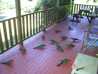 A Little Bit Of Heaven - Holiday Home - Tourism Brisbane 8
