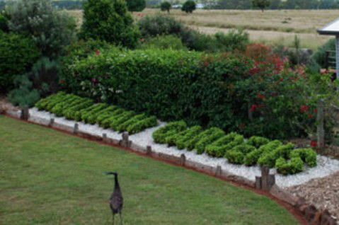 Mulanah Gardens Bed And Breakfast Cottages - Tourism Brisbane 5