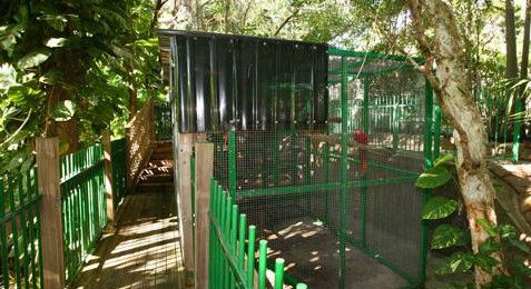 Ashmore Palms Holiday Village - Brisbane 4u 3