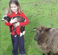 Cinnamon Coloureds Farmstay - Brisbane 4u