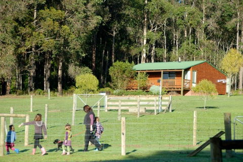 Diamond Forest Farm Stay - Brisbane Tourism 0