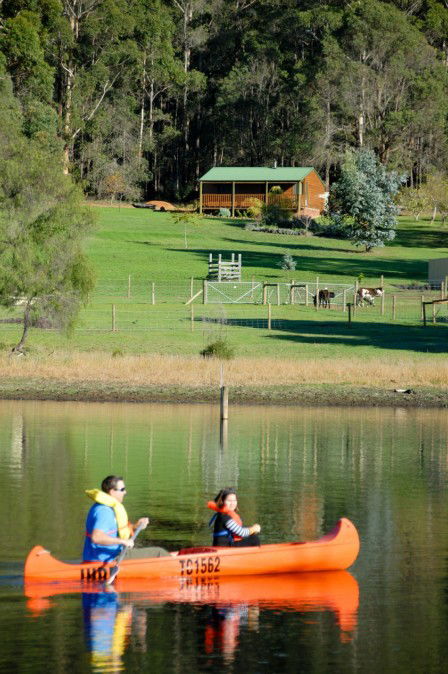 Diamond Forest Farm Stay - Brisbane Tourism 2