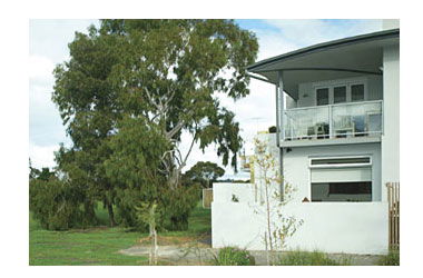 Clifton Hill VIC Brisbane 4u