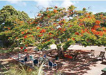 Barnacles Backpackers - Tourism Brisbane 1