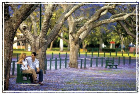 Kirkland House B&B - Tourism Brisbane 3