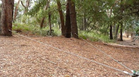 UC Camping Norval - Tourism Brisbane 2