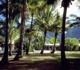 Clifton Palms - Tourism Brisbane 0