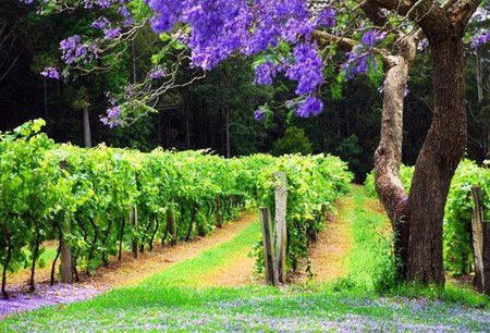 Wauchope NSW Tourism Brisbane