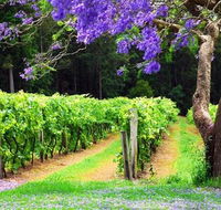 Bago Vineyards - Tourism Brisbane