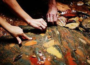 Daintree Eco Lodge And Spa - Tourism Brisbane 0