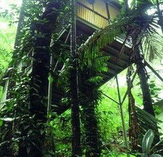 Daintree Eco Lodge And Spa - Tourism Brisbane 1