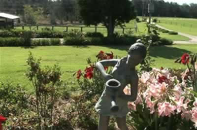 Jacaranda Country Lodge - Brisbane Tourism 2